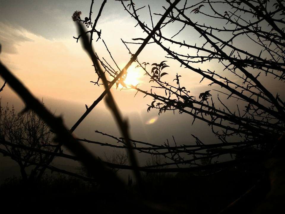 Photo of Himani Chamunda trekk by Sanjay Singh