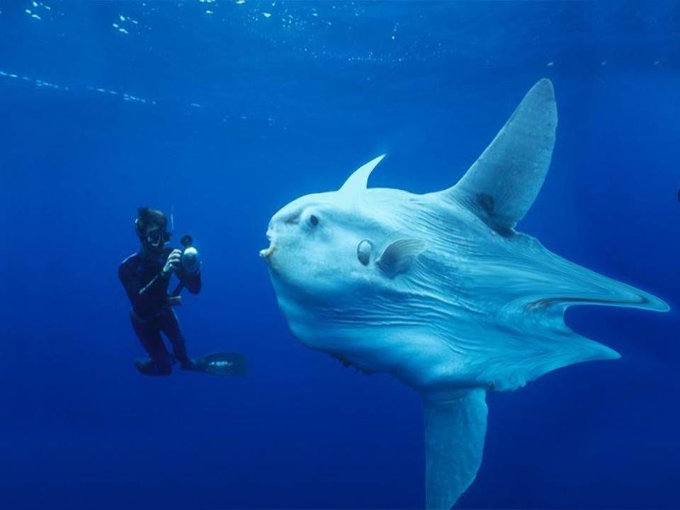 Photo of Eric Rolfs | Top Five Unexplored Places On Earth 4/5 by Eric Rolfs