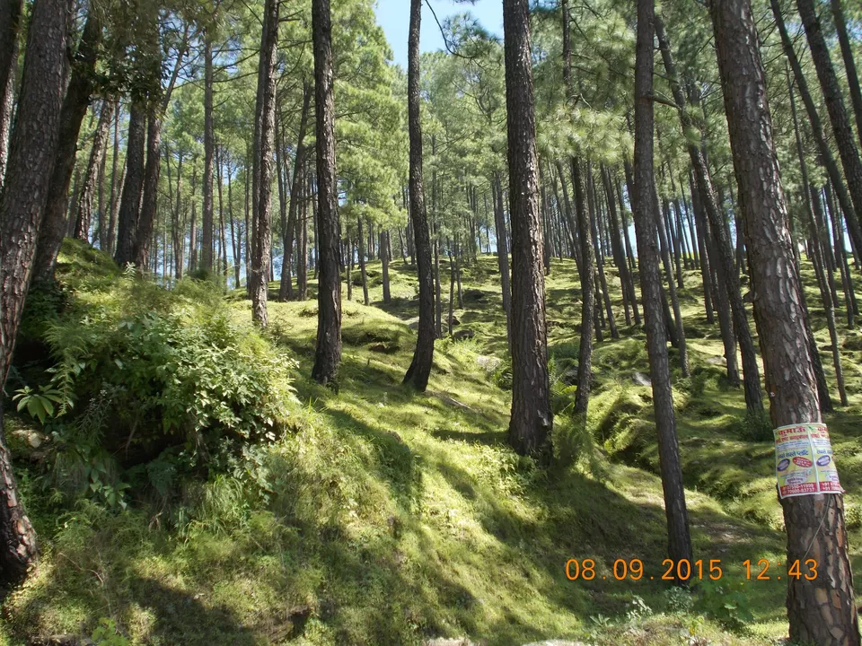 Photo of Ranikhet, Uttarakhand, India by Mayank Pandeyz (with floating shoes)