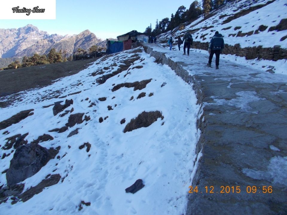 Photo of Road trip to Chopta 2/20 by Mayank Pandeyz (with floating shoes)