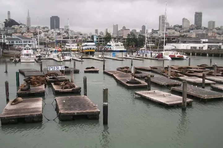 Photo of Fisherman's Wharf, San Francisco, CA, United States by shaira chaudhry