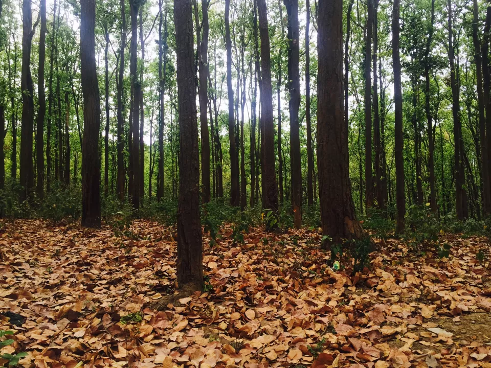 Photo of Dehradun, Uttarakhand, India by Aamir