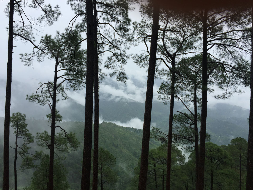 Photo of Lansdowne in Monsoon: The clouds are calling! 2/5 by Aamir
