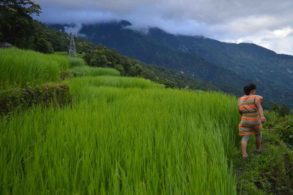 Photo of Home away from Home - Story of how I found an extended family in Sikkim! by Akshay V