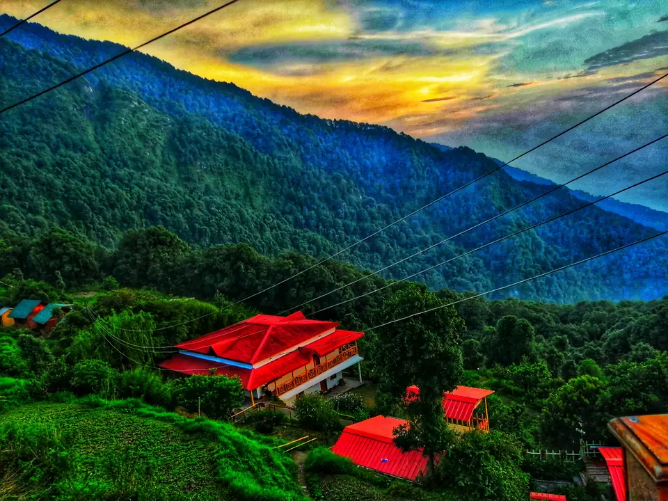 Photo of Pangot By Laxmi Patel