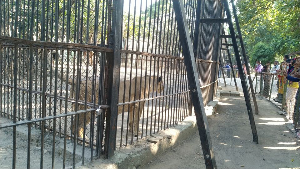 Sakkarbaug Zoo 2020, With Childs Tripoto