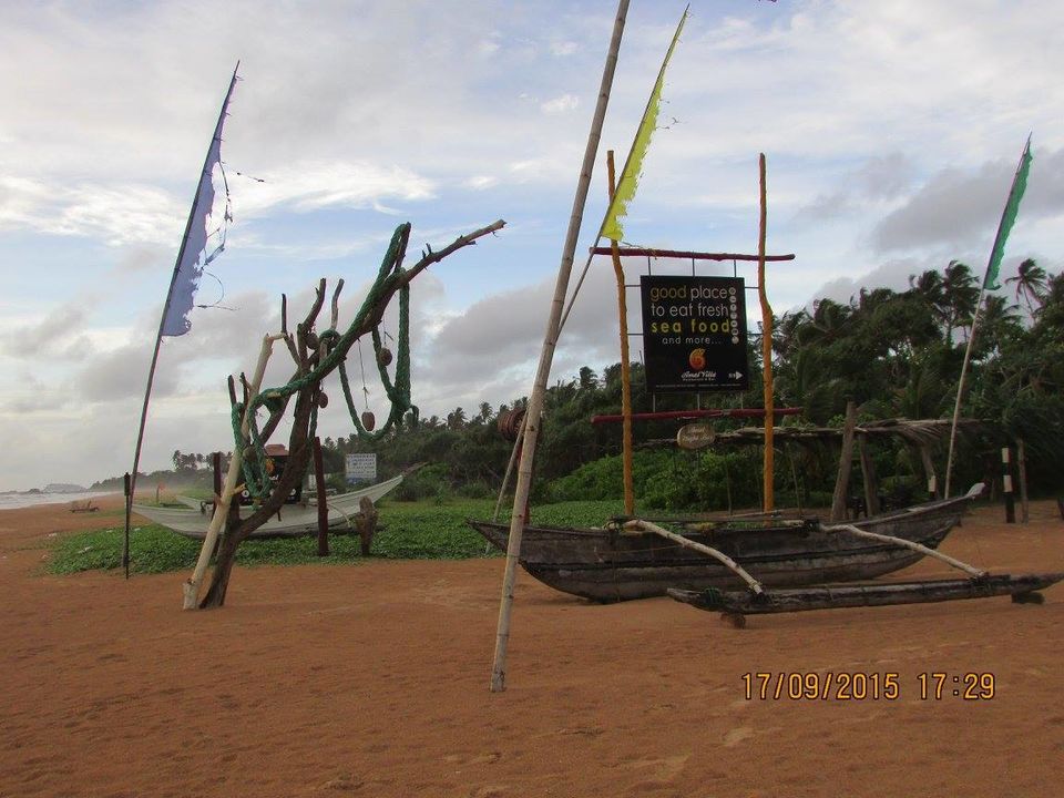 Photo of Sri Lanka: Ridiculously good-looking! 3/25 by Hippie Traveller