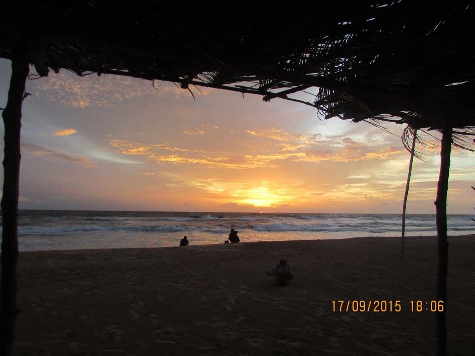 Photo of Sri Lanka: Ridiculously good-looking! 9/25 by Hippie Traveller
