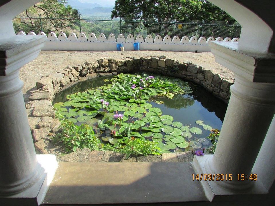 Photo of Sri Lanka: Ridiculously good-looking! 13/25 by Hippie Traveller