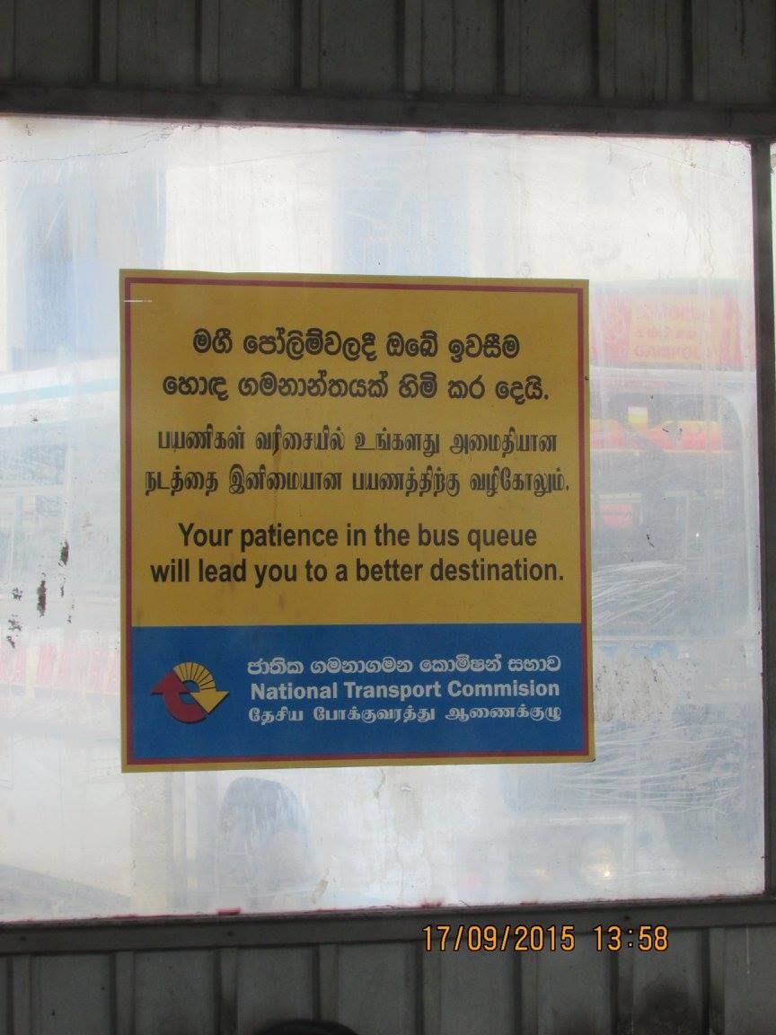 Photo of Sri Lanka: Ridiculously good-looking! 14/25 by Hippie Traveller