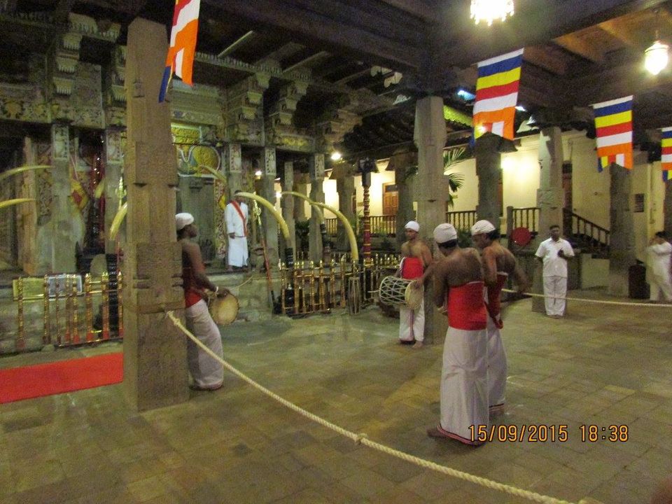 Photo of Sri Lanka: Ridiculously good-looking! 19/25 by Hippie Traveller