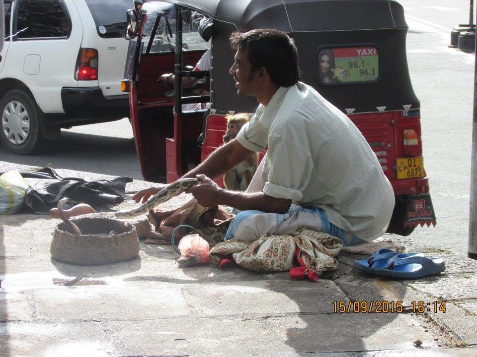 Photo of Sri Lanka: Ridiculously good-looking! 21/25 by Hippie Traveller