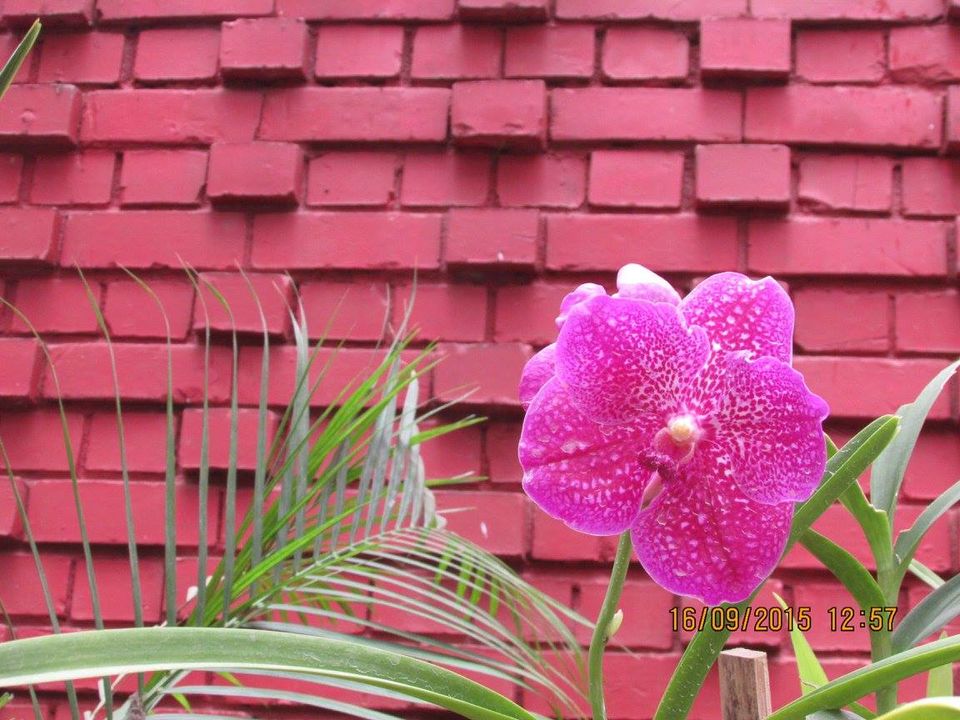 Photo of Sri Lanka: Ridiculously good-looking! 23/25 by Hippie Traveller