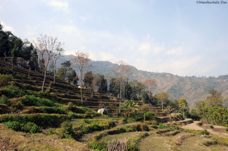 Photo of Hidden treasures of North Bengal 3/11 by Manikuntala Das