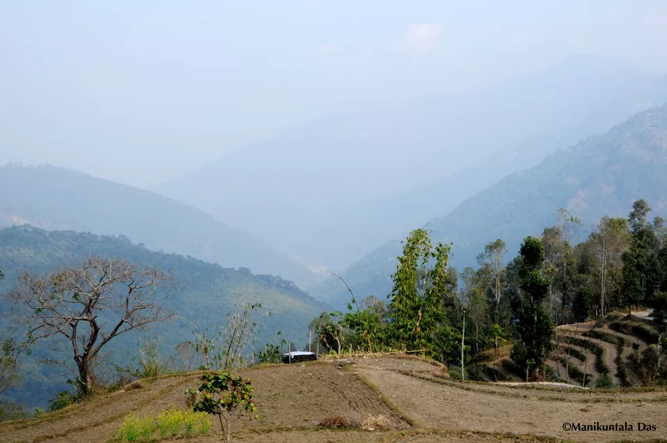 Photo of Bara Mangwa Farmhouse, Bara Mungwa, West Bengal, India by Manikuntala Das