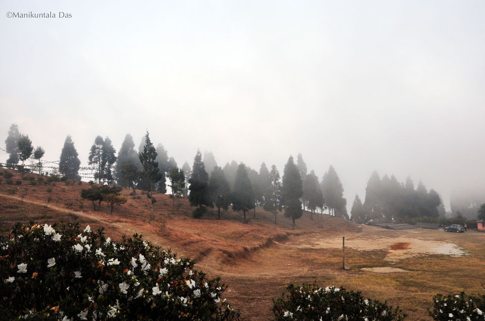 Photo of Hidden treasures of North Bengal 6/11 by Manikuntala Das