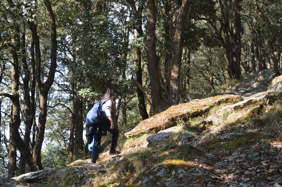 Photo of THINGS TO DO IN BIR BILLING APART FROM JUST PARAGLIDING 4/10 by Anupama Narayanan