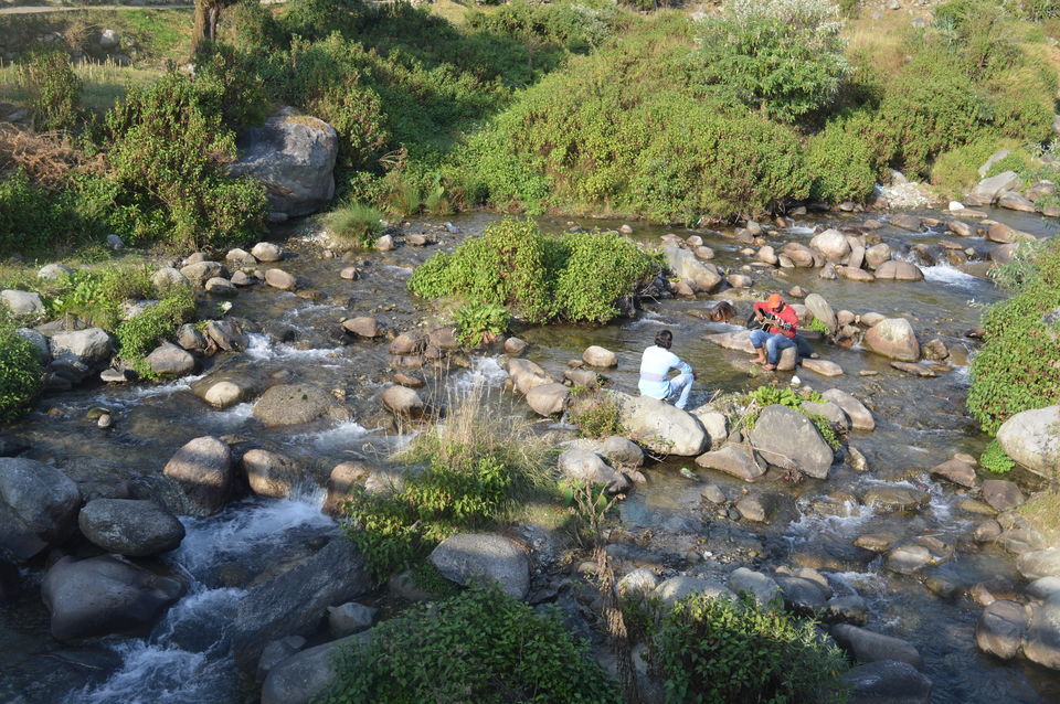 Photo of THINGS TO DO IN BIR BILLING APART FROM JUST PARAGLIDING 8/10 by Anupama Narayanan