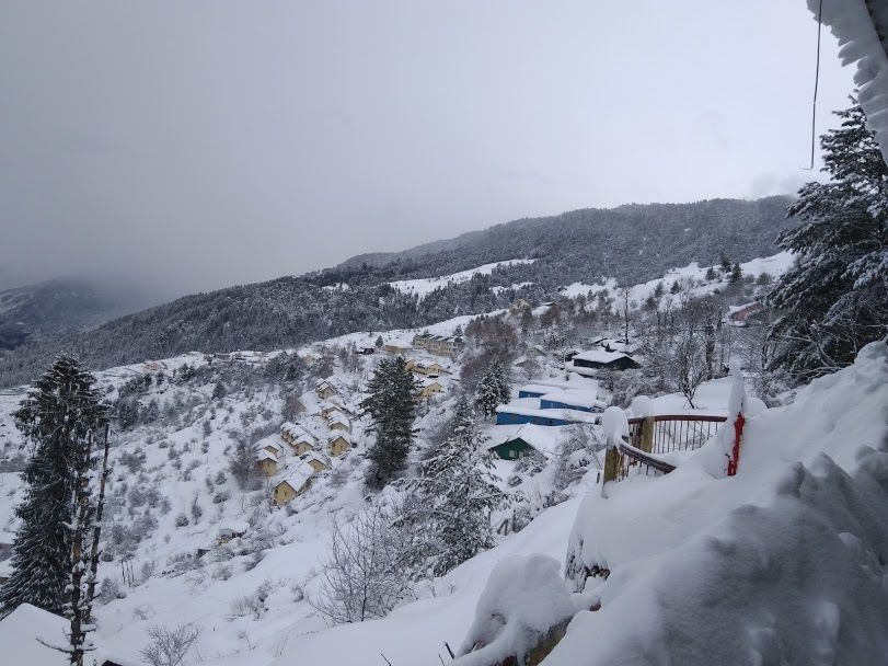 Photo of AULI - UTTARAKHAND'S WINTER WONDERLAND by Anupama Narayanan