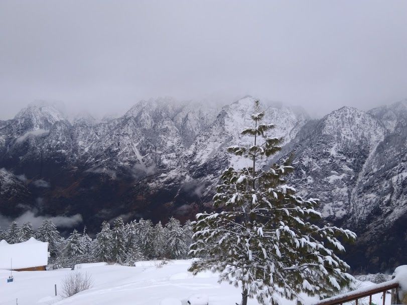 Photo of AULI - UTTARAKHAND'S WINTER WONDERLAND by Anupama Narayanan