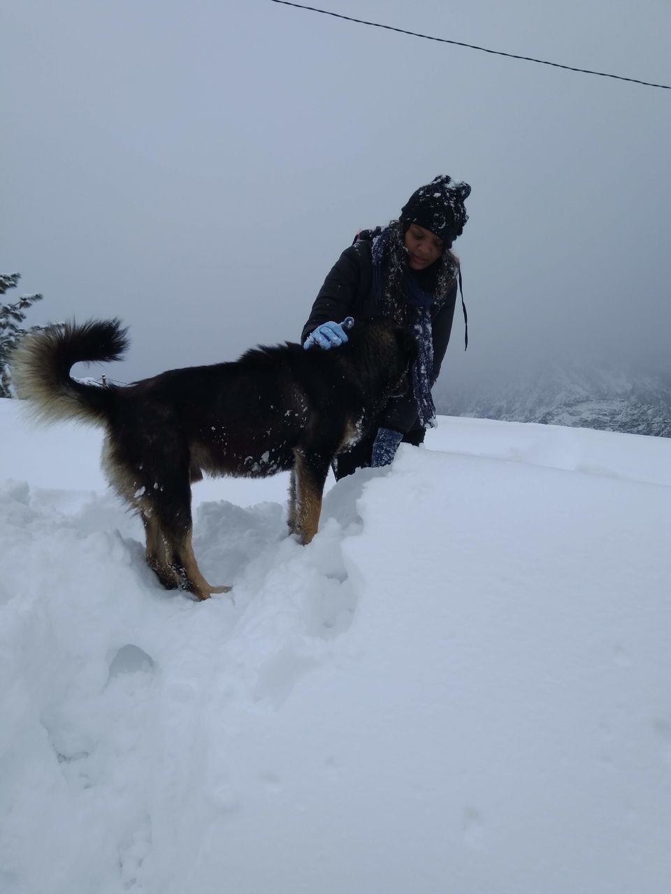 Photo of AULI - UTTARAKHAND'S WINTER WONDERLAND by Anupama Narayanan