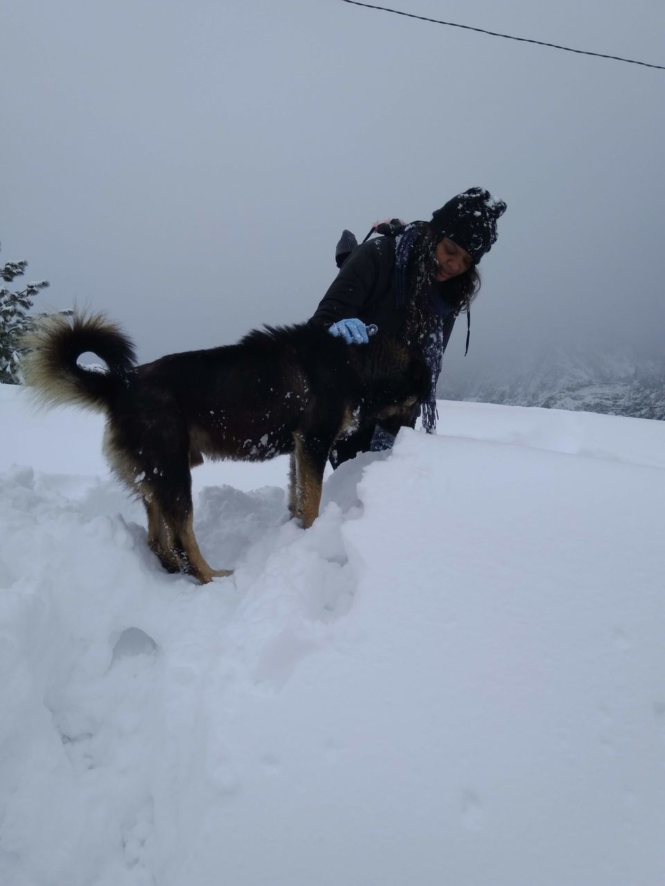 Photo of AULI - UTTARAKHAND'S WINTER WONDERLAND by Anupama Narayanan