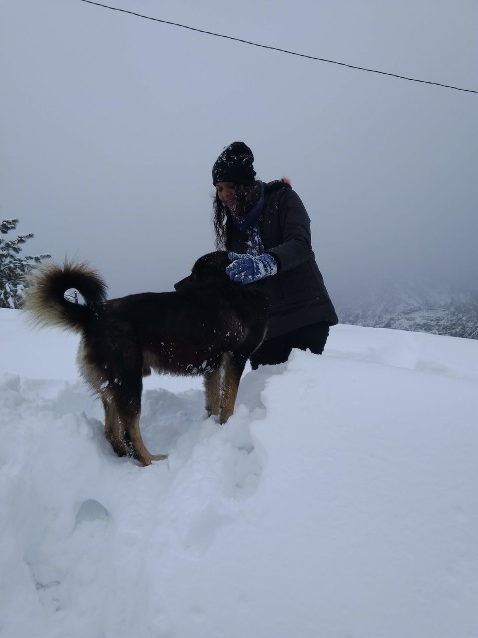 Photo of AULI - UTTARAKHAND'S WINTER WONDERLAND by Anupama Narayanan