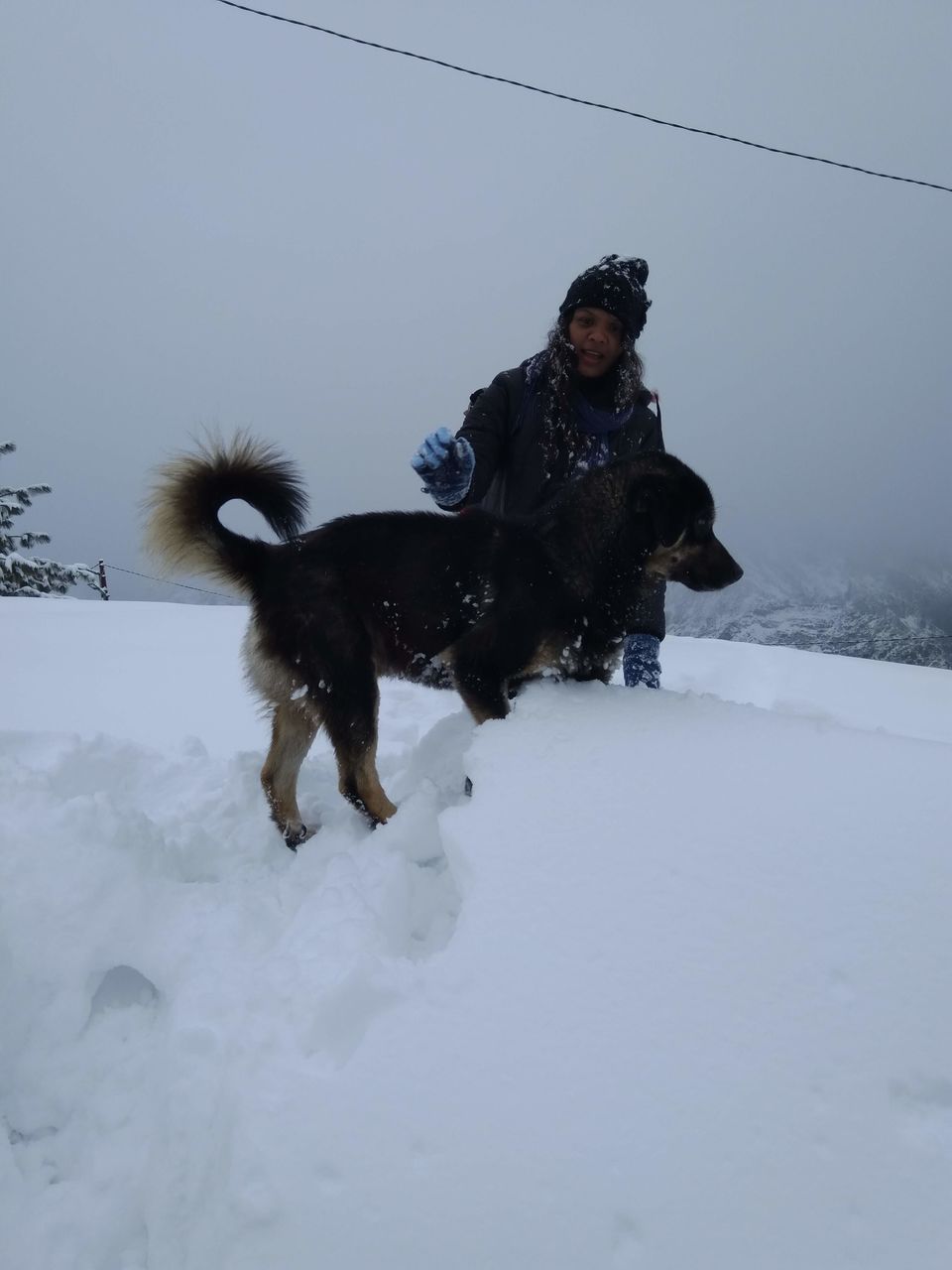 Photo of AULI - UTTARAKHAND'S WINTER WONDERLAND by Anupama Narayanan