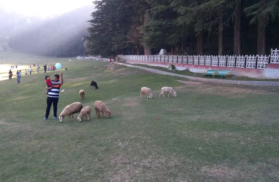 Photo of KHAJJIAR - A LOVE/HATE AFFAIR by Anupama Narayanan