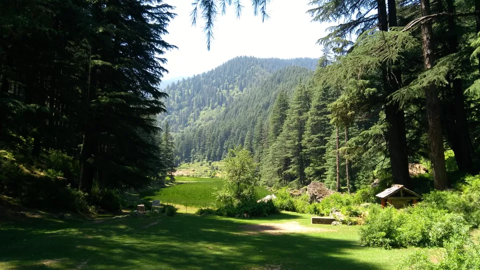 Photo of KHAJJIAR - A LOVE/HATE AFFAIR by Anupama Narayanan