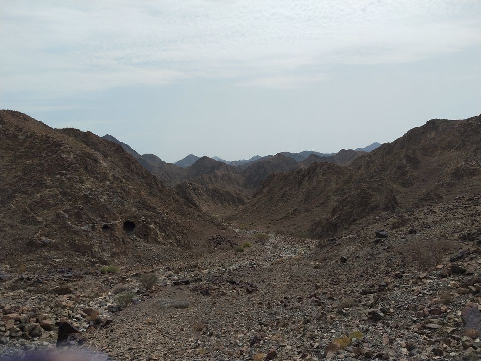 Photo of 4 UNIQUE THINGS TO DO IN DUBAI by Anupama Narayanan