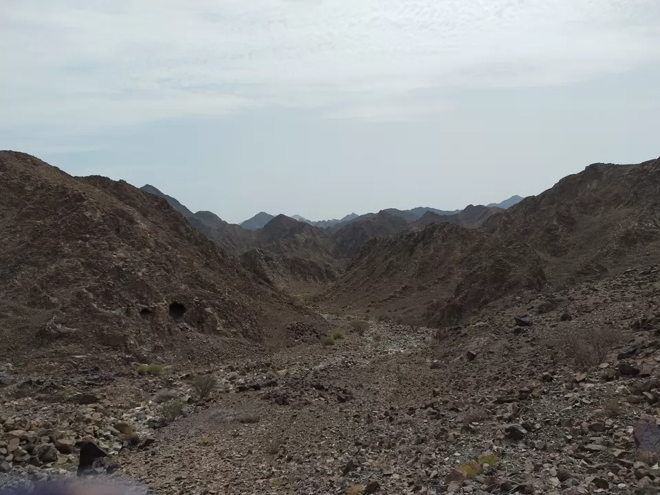 Photo of Wadi Shawka - Ras al Khaimah - United Arab Emirates by Anupama Narayanan