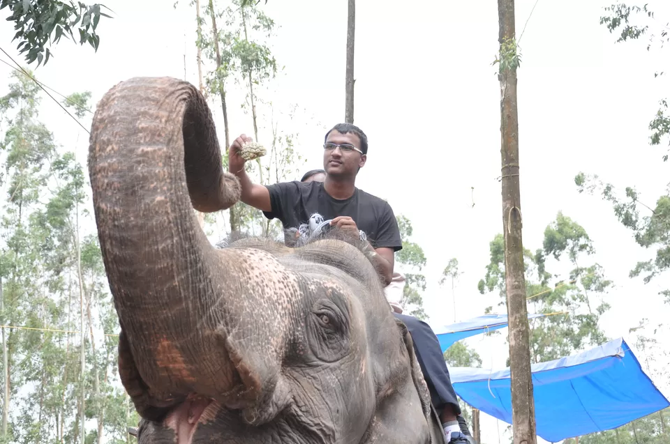 Photo of Munnar, Munnar, Kerala, India by Trilokesh Penta