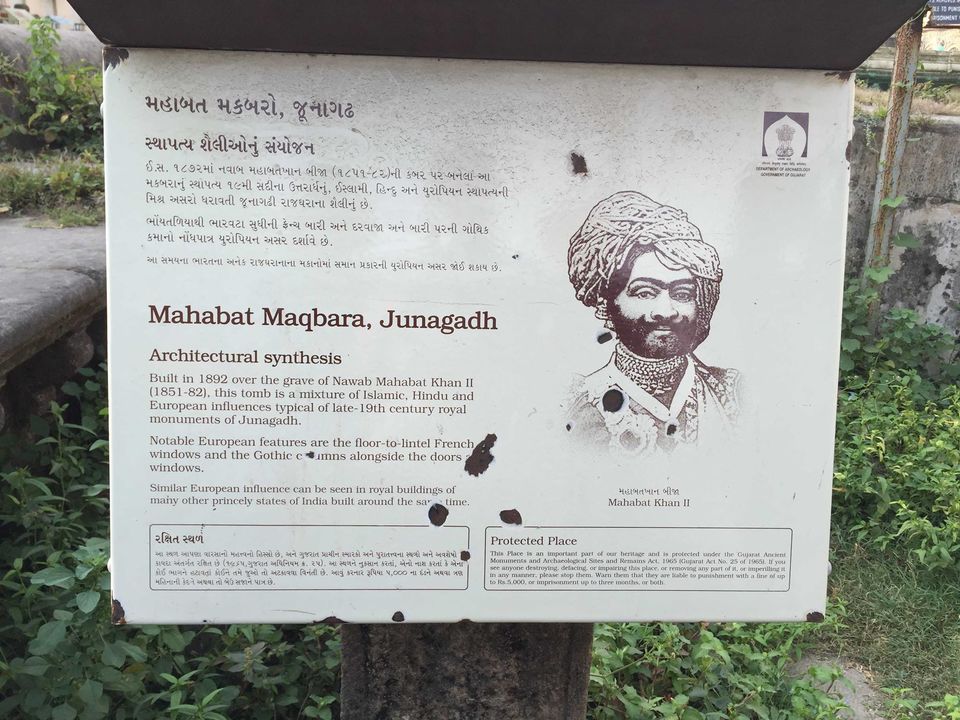 Photo of Cause the jungle makes you feel at home | Gir National Park by Archana Madhwani