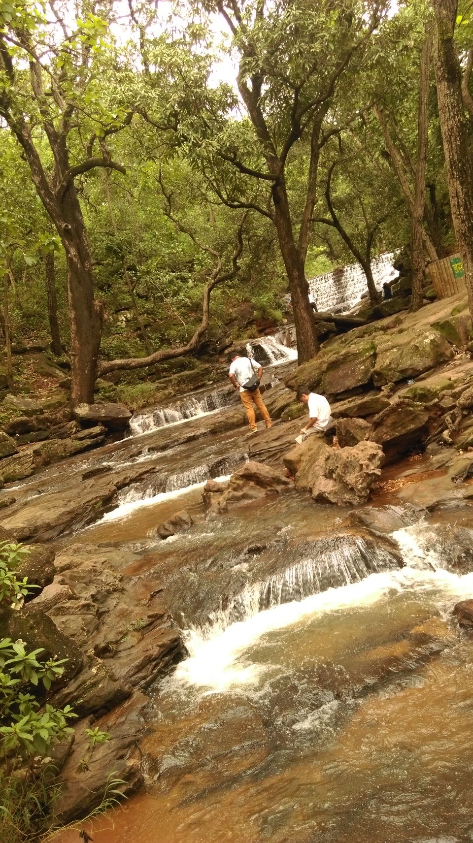 Photo of A little piece of PARADISE: Pachmarhi 11/17 by Archana Madhwani
