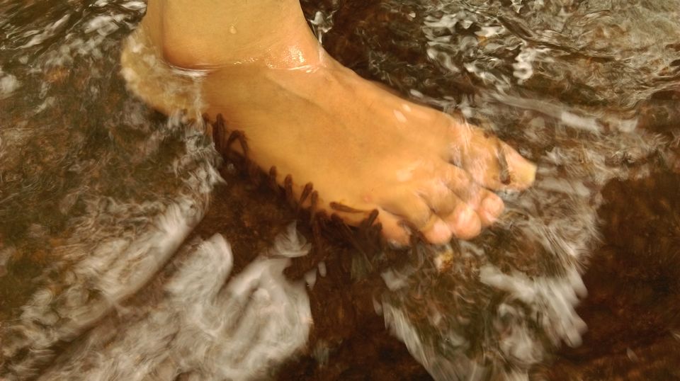 Photo of Shiva's tale of Hide and Seek 4/8 by Archana Madhwani