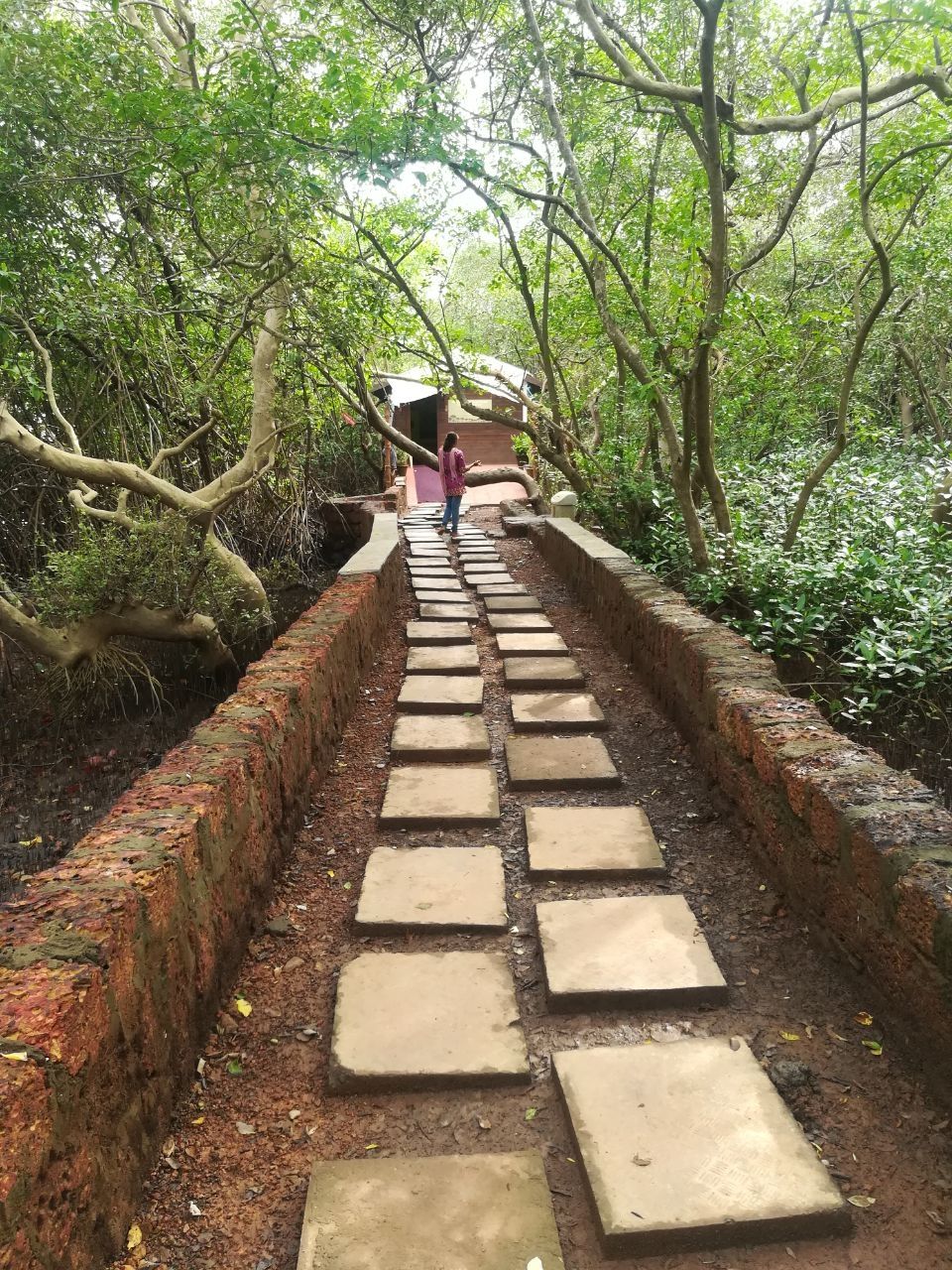 Photo of Goa, India by Shivani Pandey