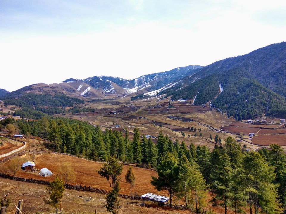 Photo of Phobjikha Valley, Wangdue Phodrang, Bhutan by Snigdha Jaiswal