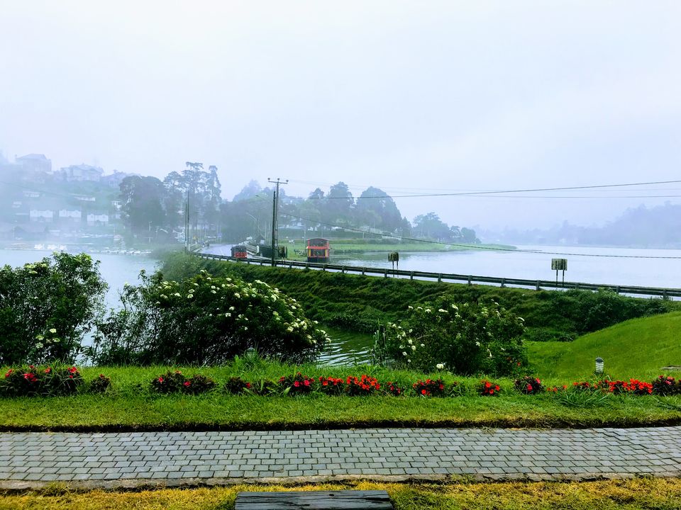 Photo of 5 things to do in Nuwara Eliya by Snigdha Jaiswal