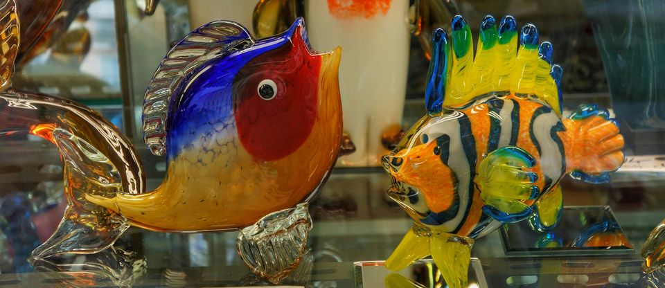 Photo of Venice: The Good and the Bad side of Fame | The Stupid Bear 8/17 by Snigdha Jaiswal