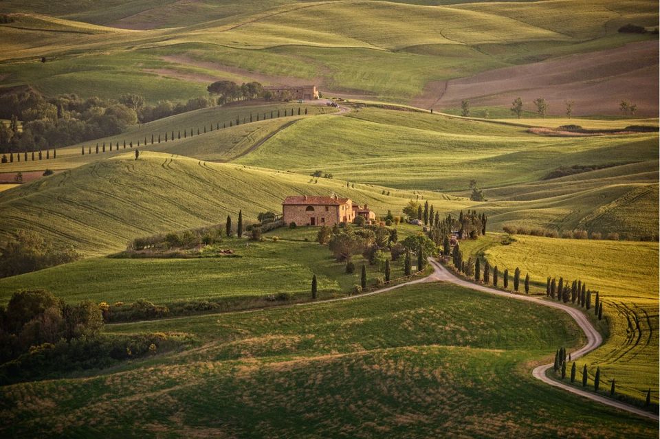 Photo of Enjoy the best of Tuscany in a day | The Stupid Bear 2/20 by Snigdha Jaiswal