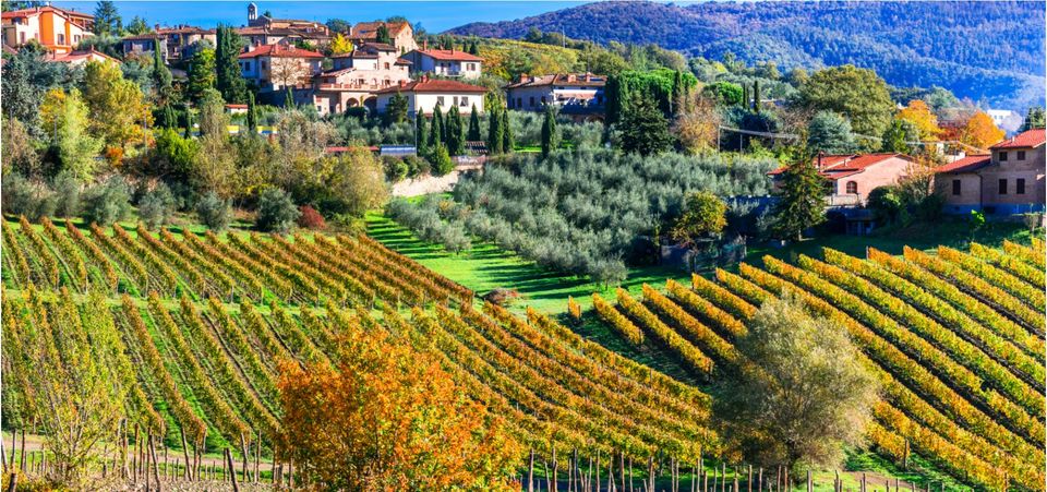 Photo of Enjoy the best of Tuscany in a day | The Stupid Bear 5/20 by Snigdha Jaiswal