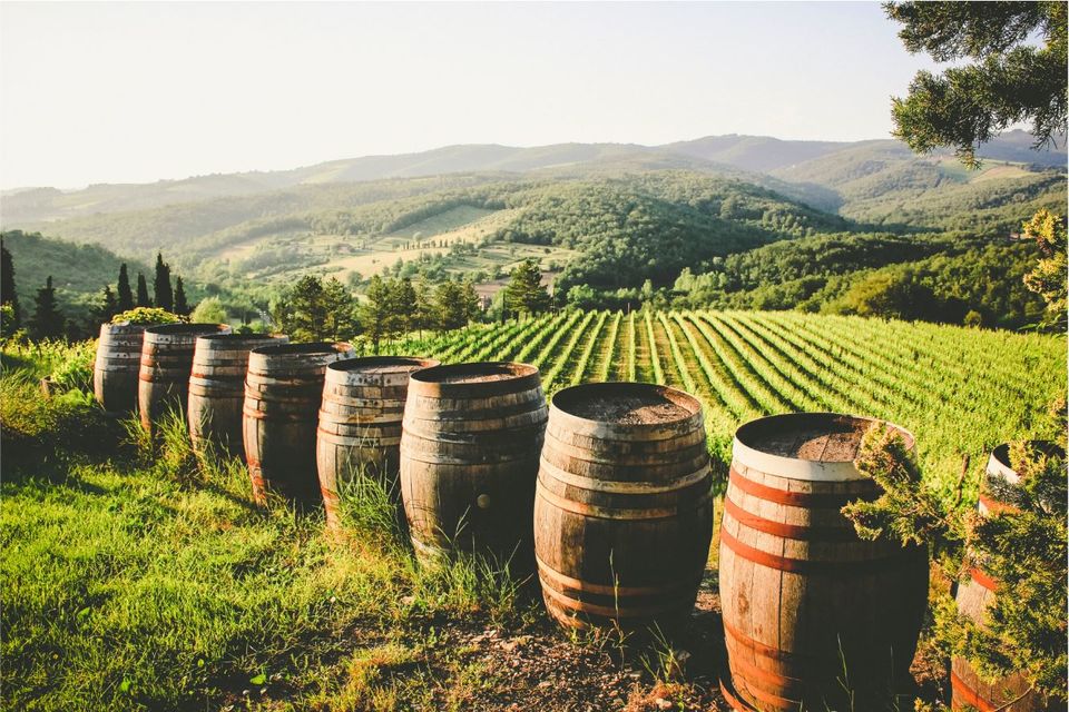 Photo of Enjoy the best of Tuscany in a day | The Stupid Bear by Snigdha Jaiswal