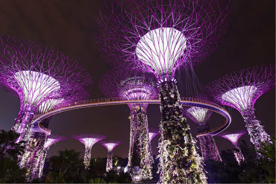 Photo of 20 Free things to do in Singapore | The Stupid Bear by Snigdha Jaiswal
