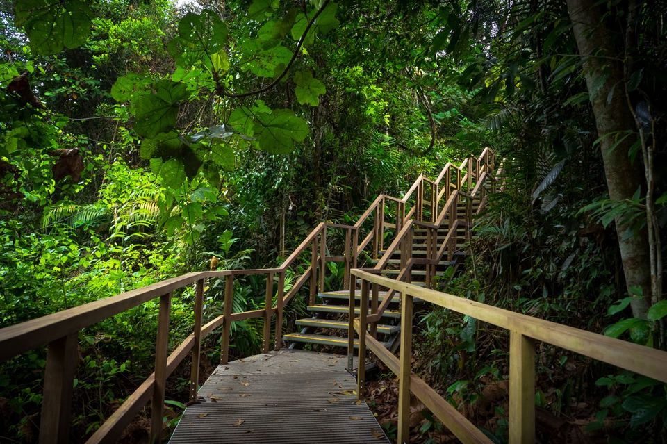 Photo of 20 Free things to do in Singapore | The Stupid Bear by Snigdha Jaiswal