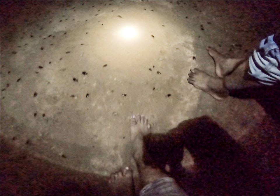 Photo of RUSHI CAVE " SECOND GUPTESWARA CAVE OF ODISHA " Rushi Ghlumpha by Expedition with Nature Boy