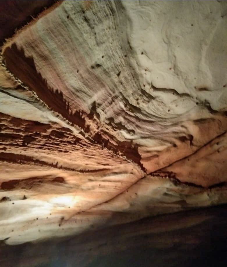 Photo of RUSHI CAVE " SECOND GUPTESWARA CAVE OF ODISHA " Rushi Ghlumpha by Expedition with Nature Boy