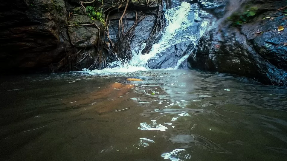 Photo of Another Lesser Known Waterfall Located About 100 KM from Bhubaneswar by Subhasish