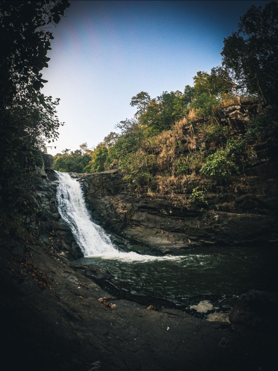 Photo of Udala by Subhasish