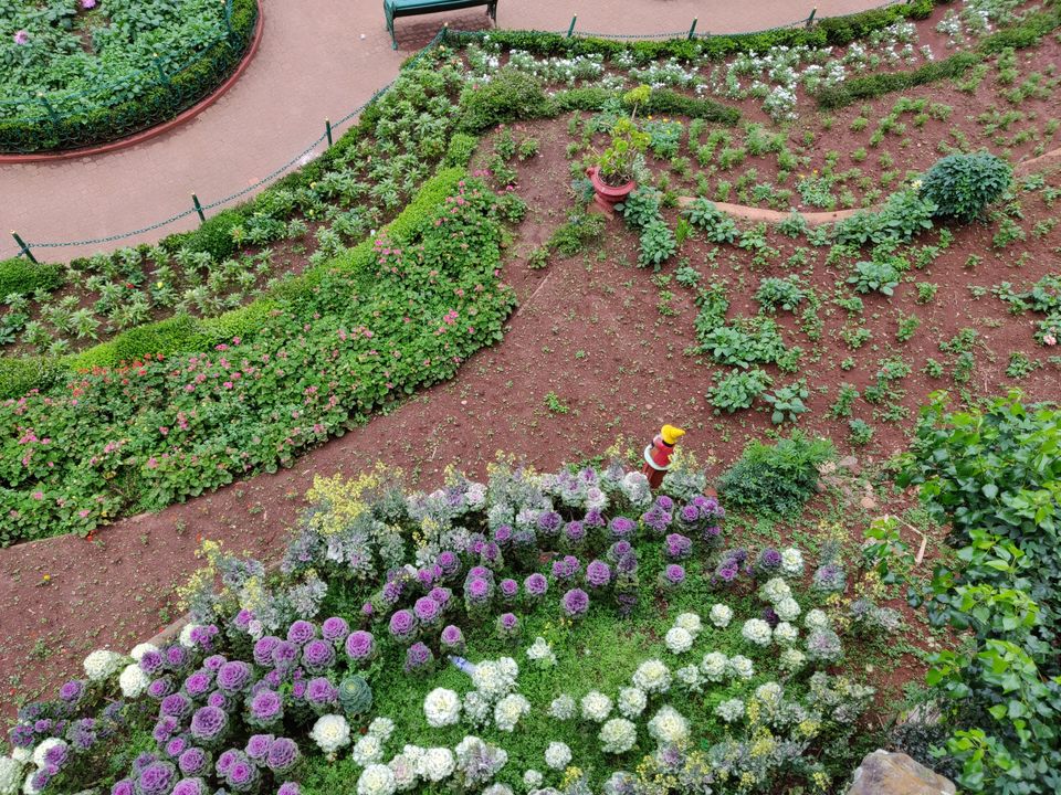 Photo of Government Botanical Garden, Vannarapettai, Ooty, Tamil Nadu, India by Pratiksha Kumar
